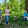 petite balade forêt de Vibraye